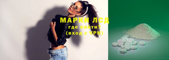 дурь Грязовец