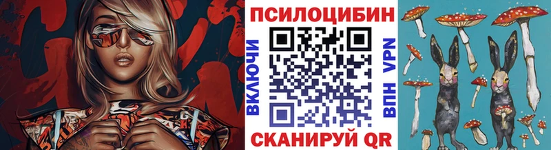 Псилоцибиновые грибы GOLDEN TEACHER  Руза 